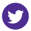 Twitter Icon